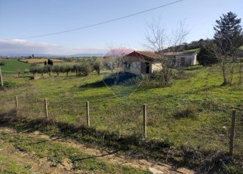 Giardino - Villa Contrada San Cataldo
 
snc, Caltagirone - foto 8