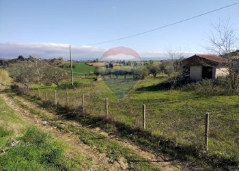 Vista delle montagne - Villa Contrada San Cataldo
 
snc, Caltagirone - foto 12