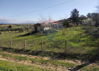 Giardino - Villa Contrada San Cataldo
 
snc, Caltagirone - foto 14