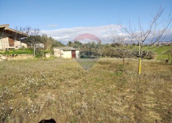 Giardino - Villa Contrada San Cataldo
 
snc, Caltagirone - foto 3