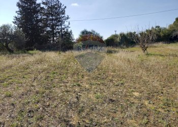 Giardino - Villa Contrada San Cataldo
 
snc, Caltagirone - foto 6