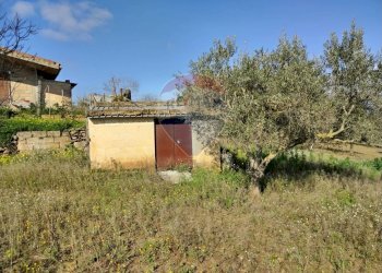 Giardino - Villa Contrada San Cataldo
 
snc, Caltagirone - foto 7