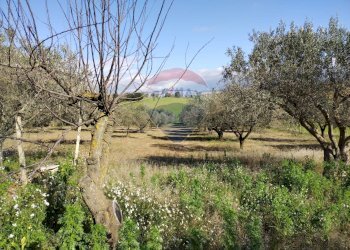 Giardino - Villa Contrada San Cataldo
 
snc, Caltagirone - foto 10