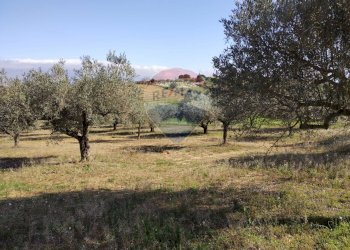 Giardino - Villa Contrada San Cataldo
 
snc, Caltagirone - foto 11