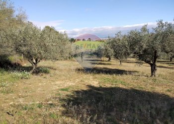 Giardino - Villa Contrada San Cataldo
 
snc, Caltagirone - foto 13