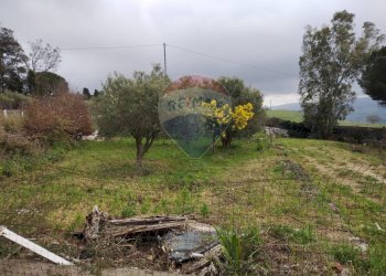 Giardino - Villa Contrada Passo di Cava
 
snc, Vizzini - foto 11