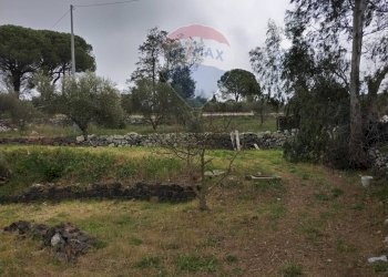 Giardino - Villa Contrada Passo di Cava
 
snc, Vizzini - foto 33