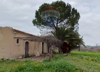 Giardino - Terreno edificabile ss683 km 11, Grammichele - foto 1