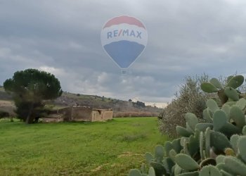 Giardino - Terreno edificabile ss683 km 11, Grammichele - foto 7