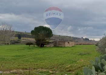 Giardino - Terreno edificabile ss683 km 11, Grammichele - foto 8