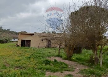 Giardino - Terreno edificabile ss683 km 11, Grammichele - foto 11