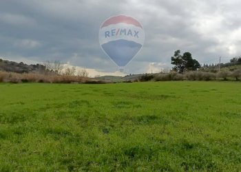 Giardino - Terreno edificabile ss683 km 11, Grammichele - foto 12