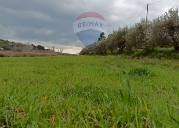 Giardino - Terreno edificabile ss683 km 11, Grammichele - foto 14