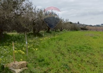 Giardino - Terreno edificabile ss683 km 11, Grammichele - foto 15