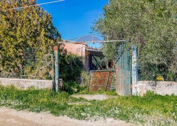 Giardino - Independent house contrada cannellazza, Carlentini - photo 2