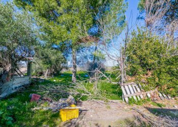 Giardino - Independent house contrada cannellazza, Carlentini - photo 4