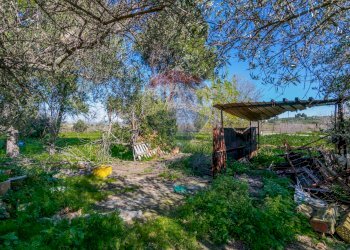 Giardino - Independent house contrada cannellazza, Carlentini - photo 6