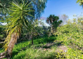 Giardino - Independent house contrada cannellazza, Carlentini - photo 18