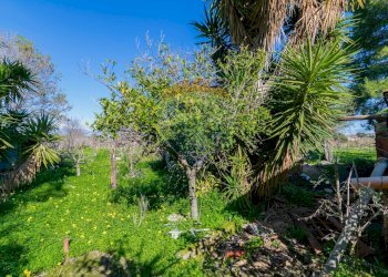 Giardino - Independent house contrada cannellazza, Carlentini - photo 19