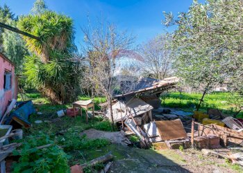 Giardino - Independent house contrada cannellazza, Carlentini - photo 20