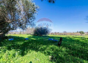 Giardino - Independent house contrada cannellazza, Carlentini - photo 21