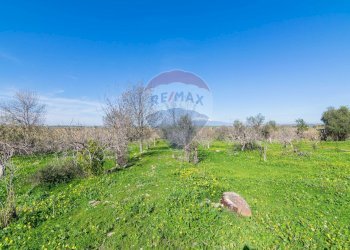 Giardino - Independent house contrada cannellazza, Carlentini - photo 23