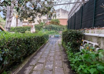 Giardino - Appartamento Via Livorno
 
125, Aci Castello - foto 17