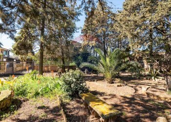 Giardino - Villa Via Degli Oleandri
 
3/a, Caltagirone - foto 27