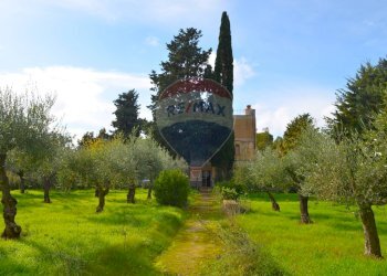 Giardino - Casa semi indipendente VIA FEDERICO OZANAM, Caltagirone - foto 1