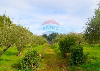 Giardino - Casa semi indipendente VIA FEDERICO OZANAM, Caltagirone - foto 14