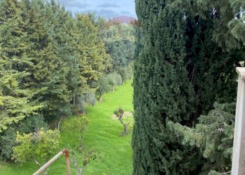 Giardino - Casa semi indipendente VIA FEDERICO OZANAM, Caltagirone - foto 15