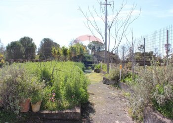 Giardino - Casa indipendente Via Re Martino
 
10, Nicolosi - foto 8