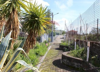 Giardino - Casa indipendente Via Re Martino
 
10, Nicolosi - foto 10