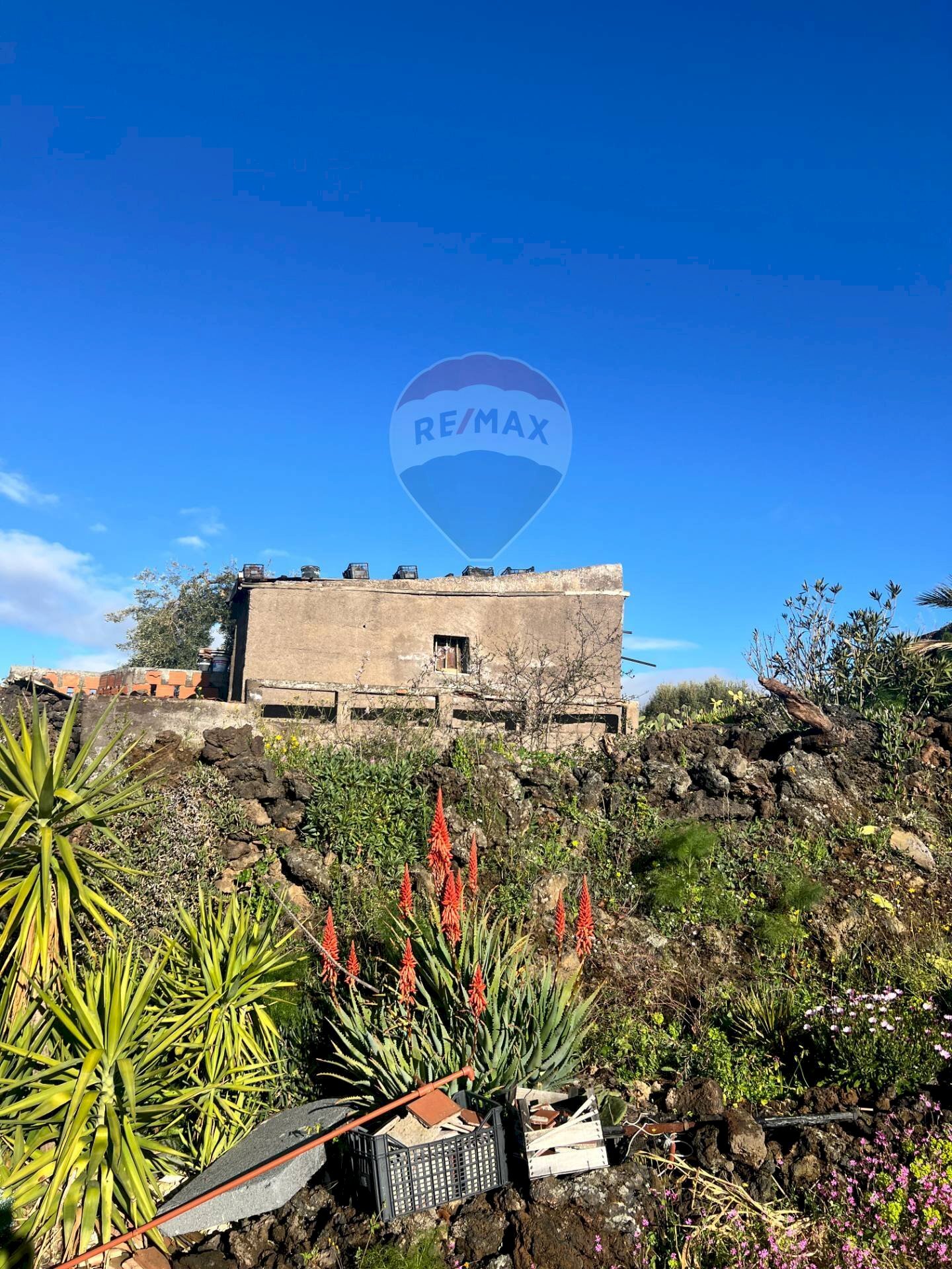 Giardino - Agricultural land Contrada Capreria
snc, Ragalna - photo 2