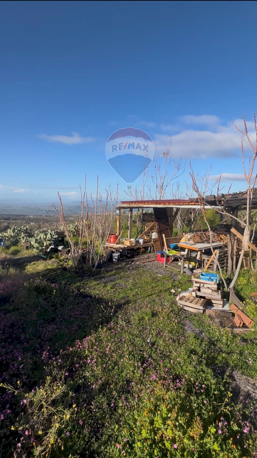 Giardino - Agricultural land Contrada Capreria
snc, Ragalna - photo 3