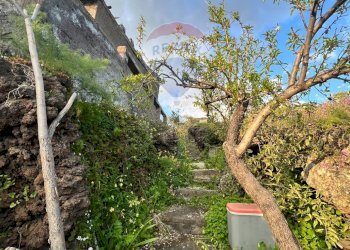 Giardino - Terreno agricolo Contrada Capreria
 
snc, Ragalna - foto 19