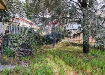 Giardino - Villa Via Sciarella
 
67, Pedara - foto 26