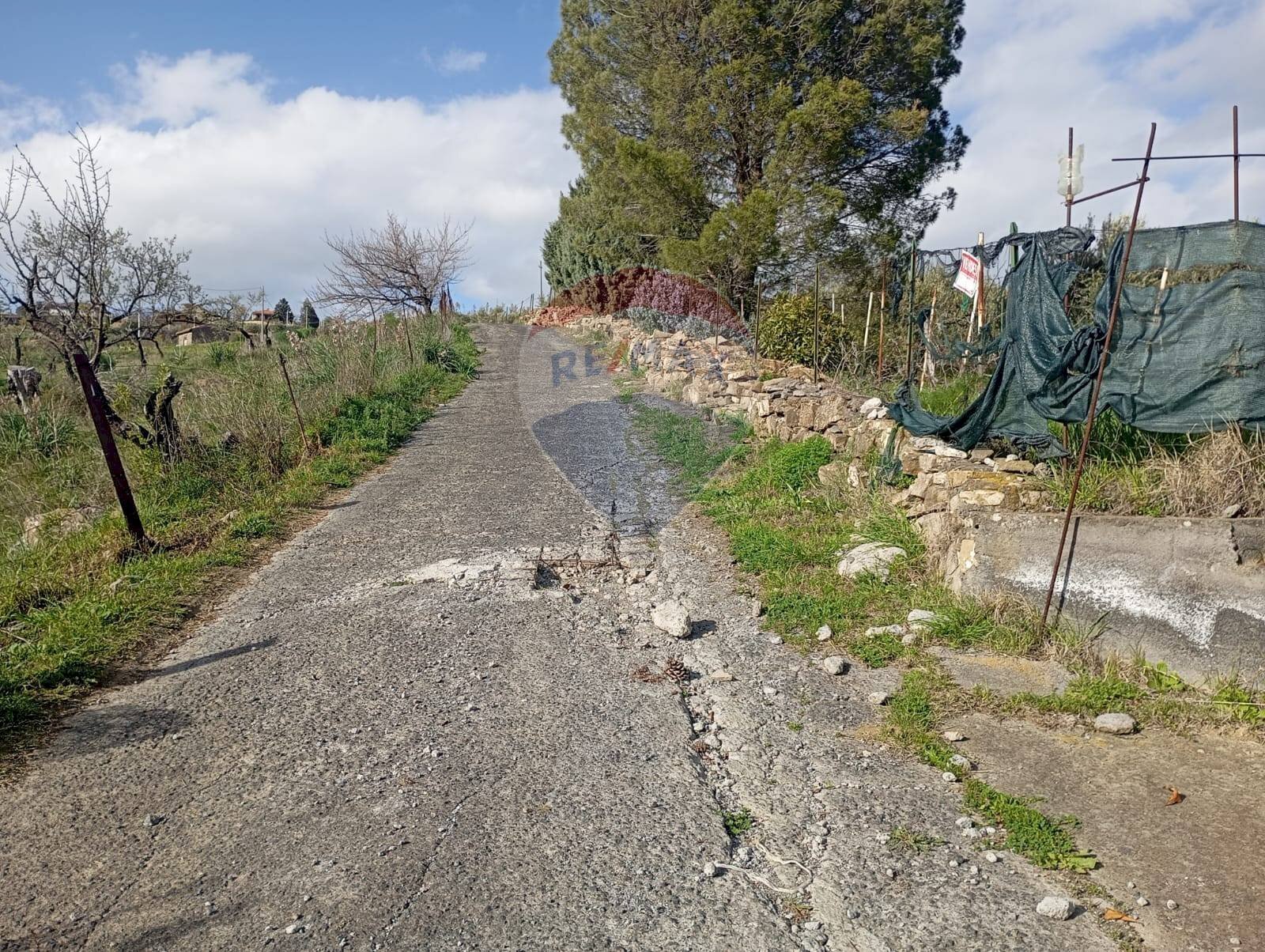 Giardino - Terreno agricolo contrada corvo
 
snc, Bronte - foto 2