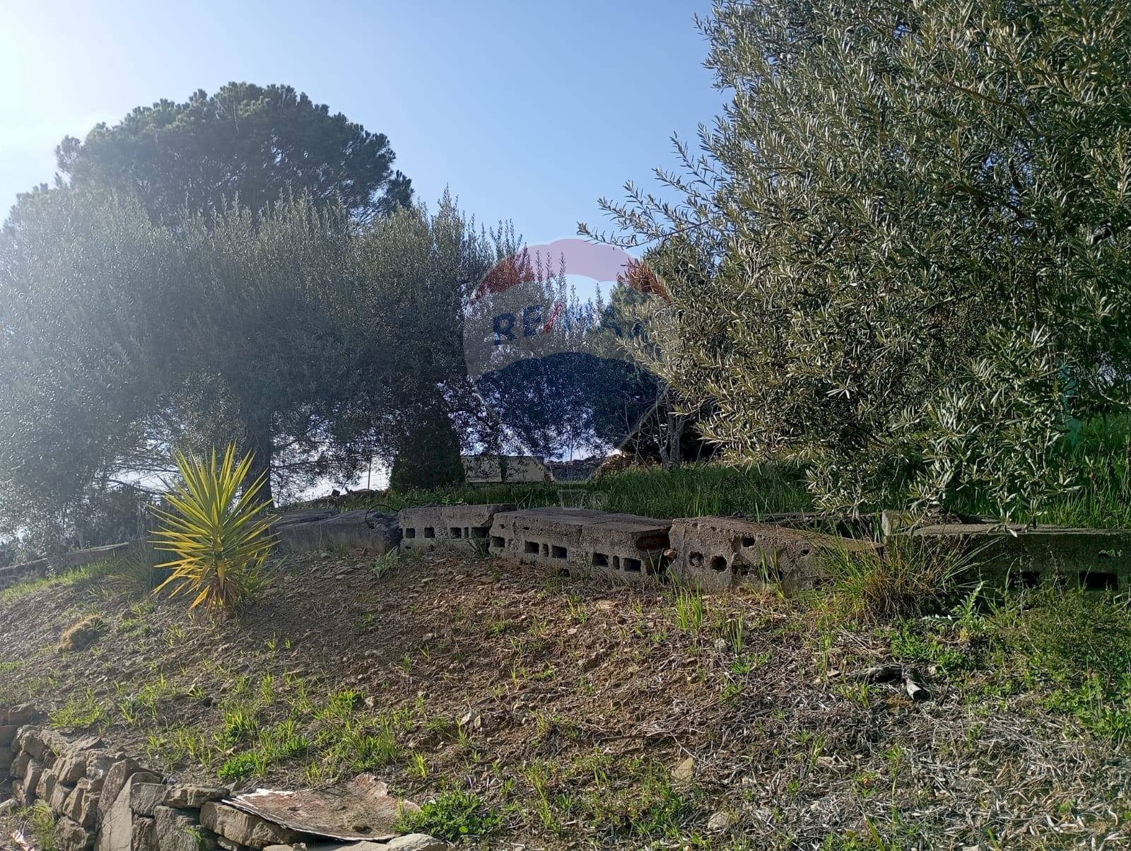 Giardino - Terreno agricolo contrada corvo
 
snc, Bronte - foto 3