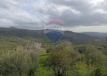 Vista delle montagne - Terreno agricolo contrada corvo
 
snc, Bronte - foto 1