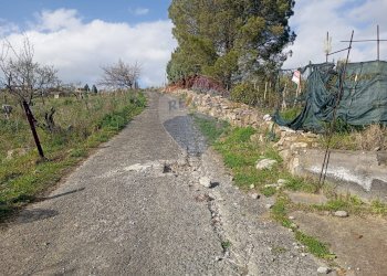 Giardino - Terreno agricolo contrada corvo
 
snc, Bronte - foto 2