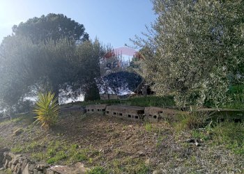 Giardino - Terreno agricolo contrada corvo
 
snc, Bronte - foto 3