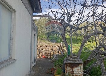 Giardino - Terreno agricolo contrada corvo
 
snc, Bronte - foto 15