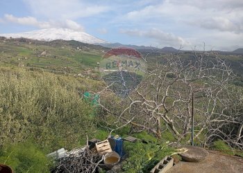 Vista delle montagne - Terreno agricolo contrada corvo
 
snc, Bronte - foto 17