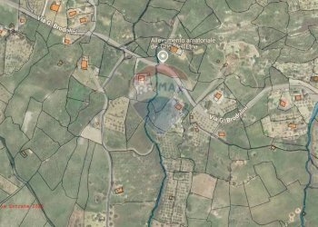 Pianta 2D - Terreno agricolo contrada corvo
 
snc, Bronte - foto 19