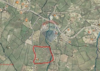 Pianta 2D - Terreno agricolo contrada corvo
 
snc, Bronte - foto 20