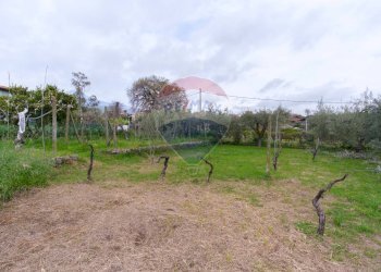 Giardino - Villa Via Torrente Lavinaio
 
39, Viagrande - foto 14