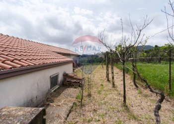 Giardino - Villa Via Torrente Lavinaio
 
39, Viagrande - foto 16