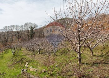 Vista delle montagne - Rustico Contrada Parmentelli / Strada Milia
 
snc, Ragalna - foto 4