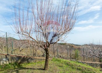 Vista delle montagne - Rustico Contrada Parmentelli / Strada Milia
 
snc, Ragalna - foto 7